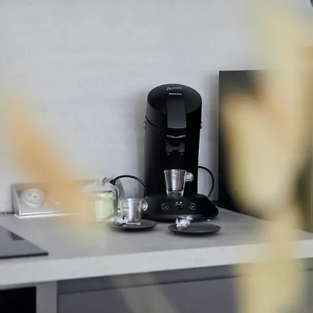 L'alsacien Zen * ミュルーズ